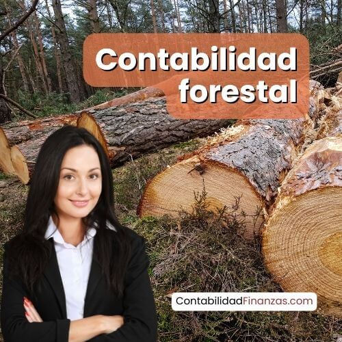 contabilidad forestal