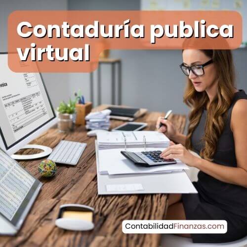 contaduria publica virtual