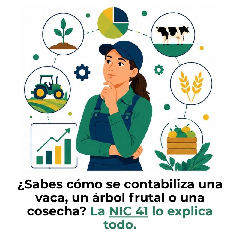 qué es la NIC 41 de agricultura