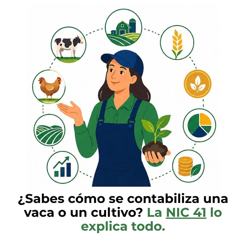 que es la nic 41