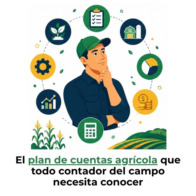 plan de cuentas agrícola