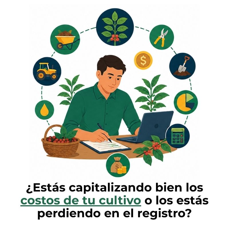 costeo de cultivos permanentes