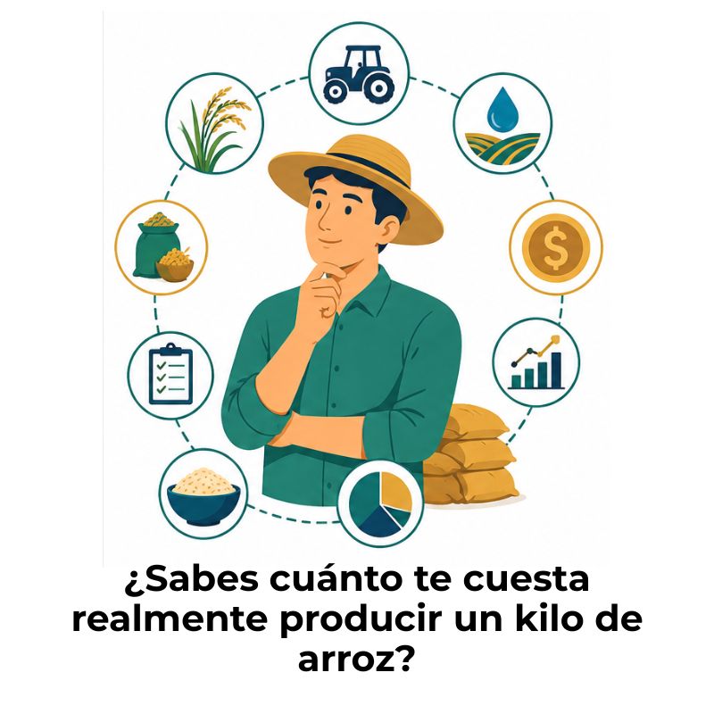 contabilidad arrocera