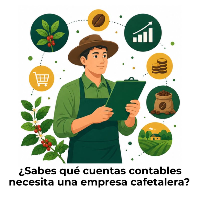 plan de cuentas para una empresa cafetalera