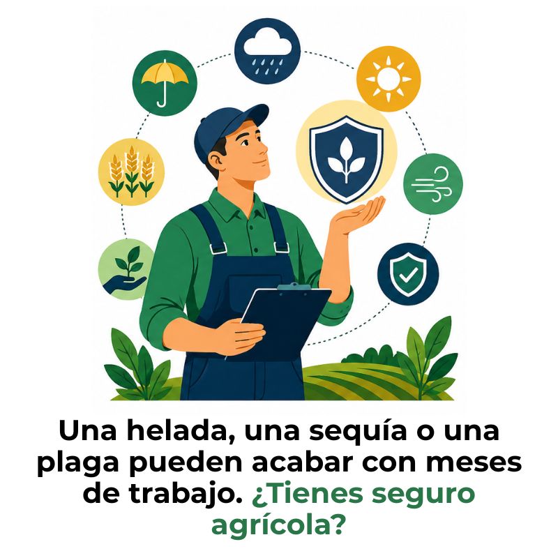 seguro agrícola