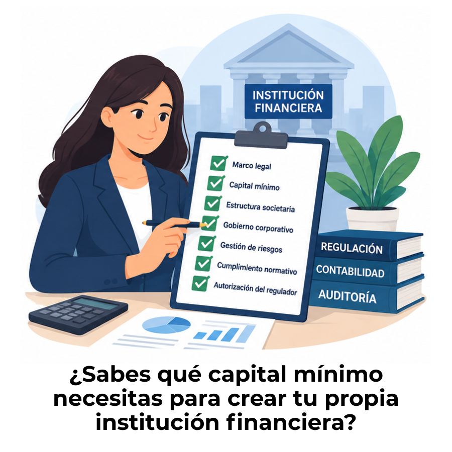 qué se necesita para constituir una institución financiera