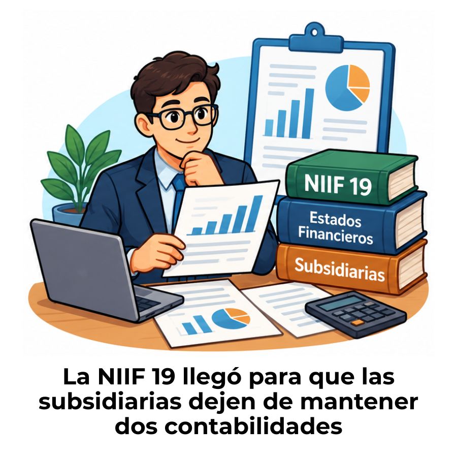 NIIF 19 para subsidiarias