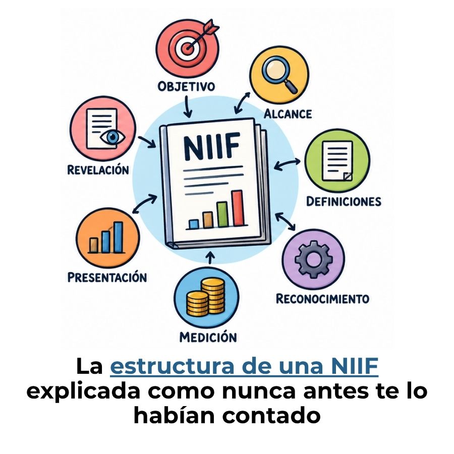 estructura de una NIIF